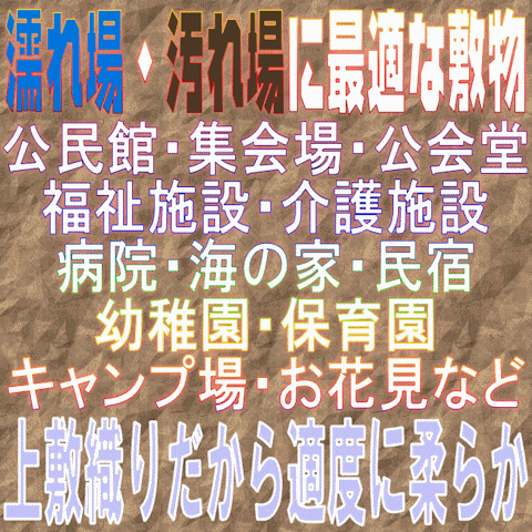 外でも中でも使えて便利な敷物